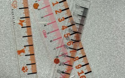 Reprise des ateliers ados
